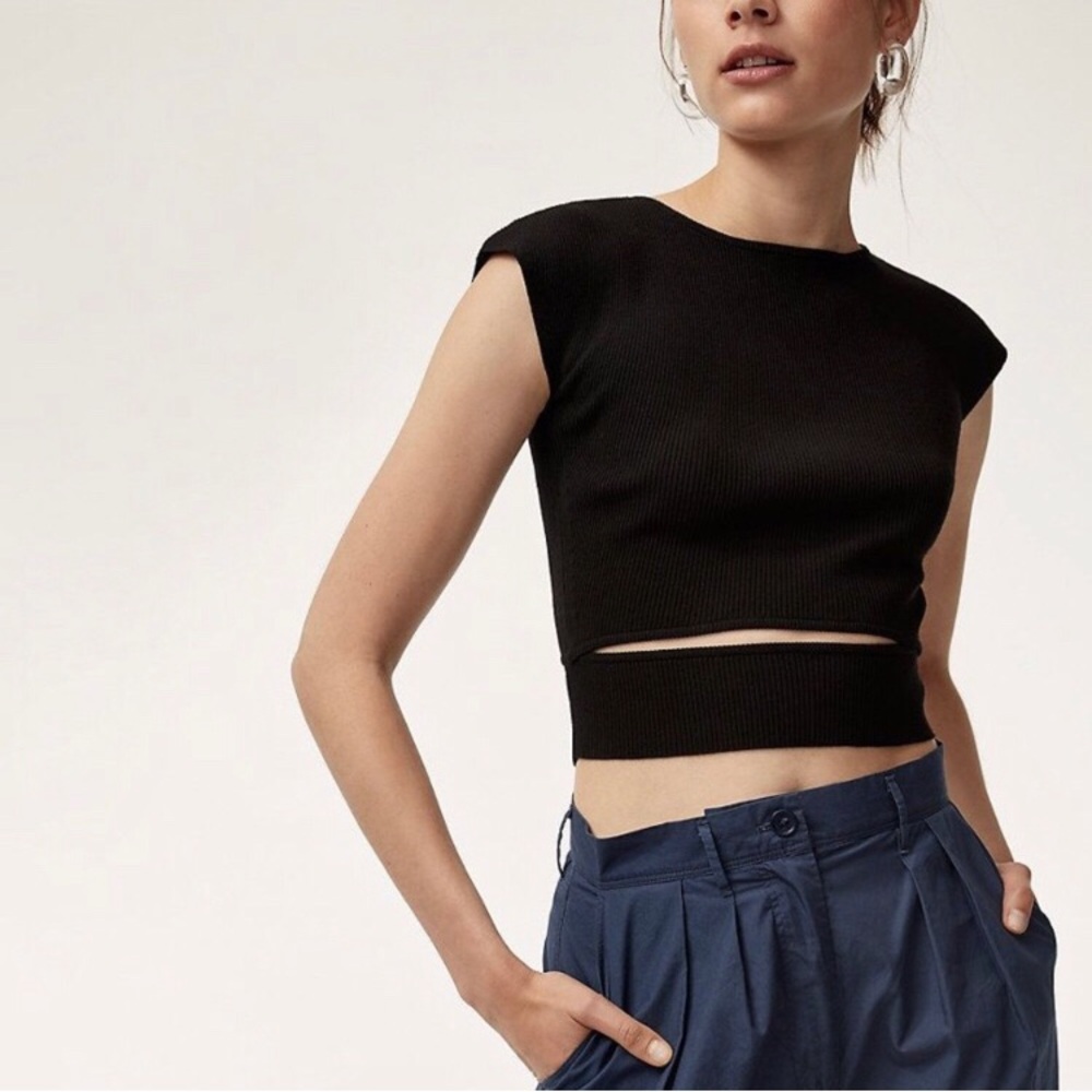 nwot Wilfred cut out knit top xs